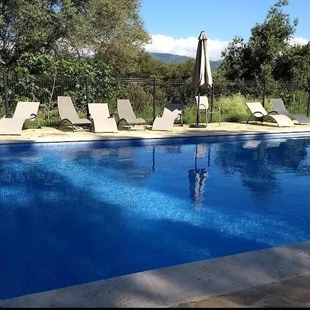 T3 Avec Piscine Sollacaro