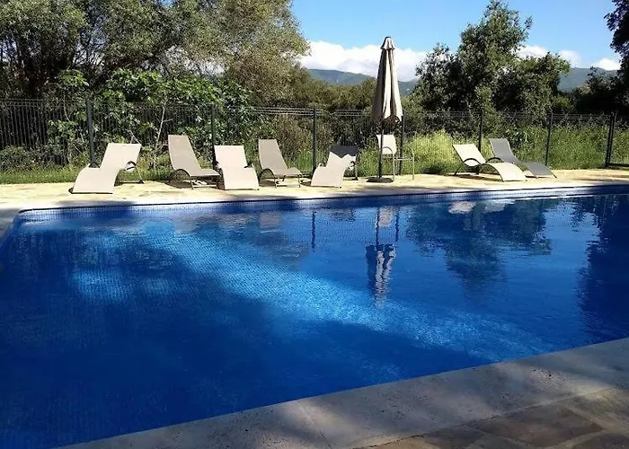 T3 Avec Piscine Sollacaro